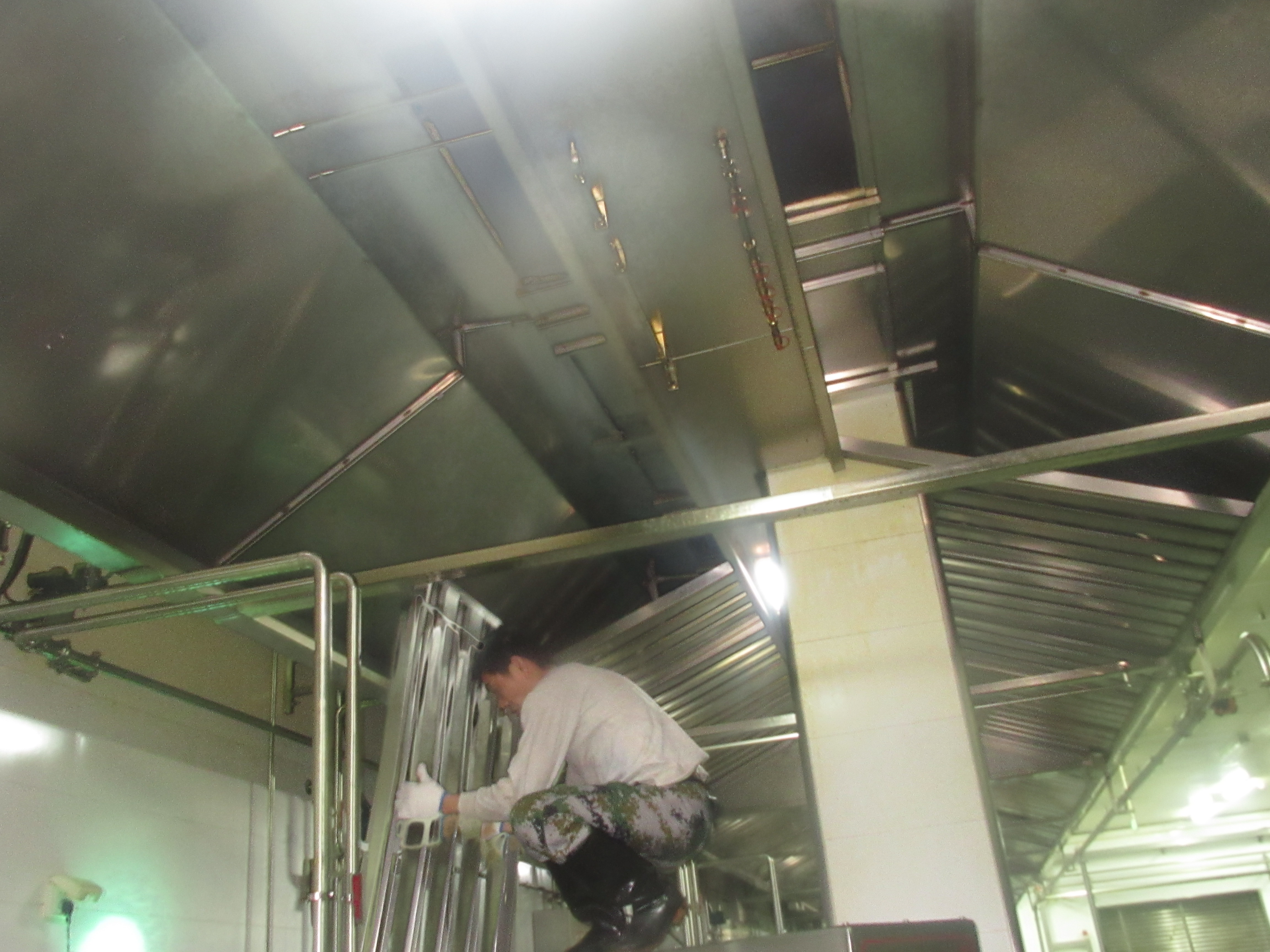 IMG_2260.jpg IMG_2260.jpg