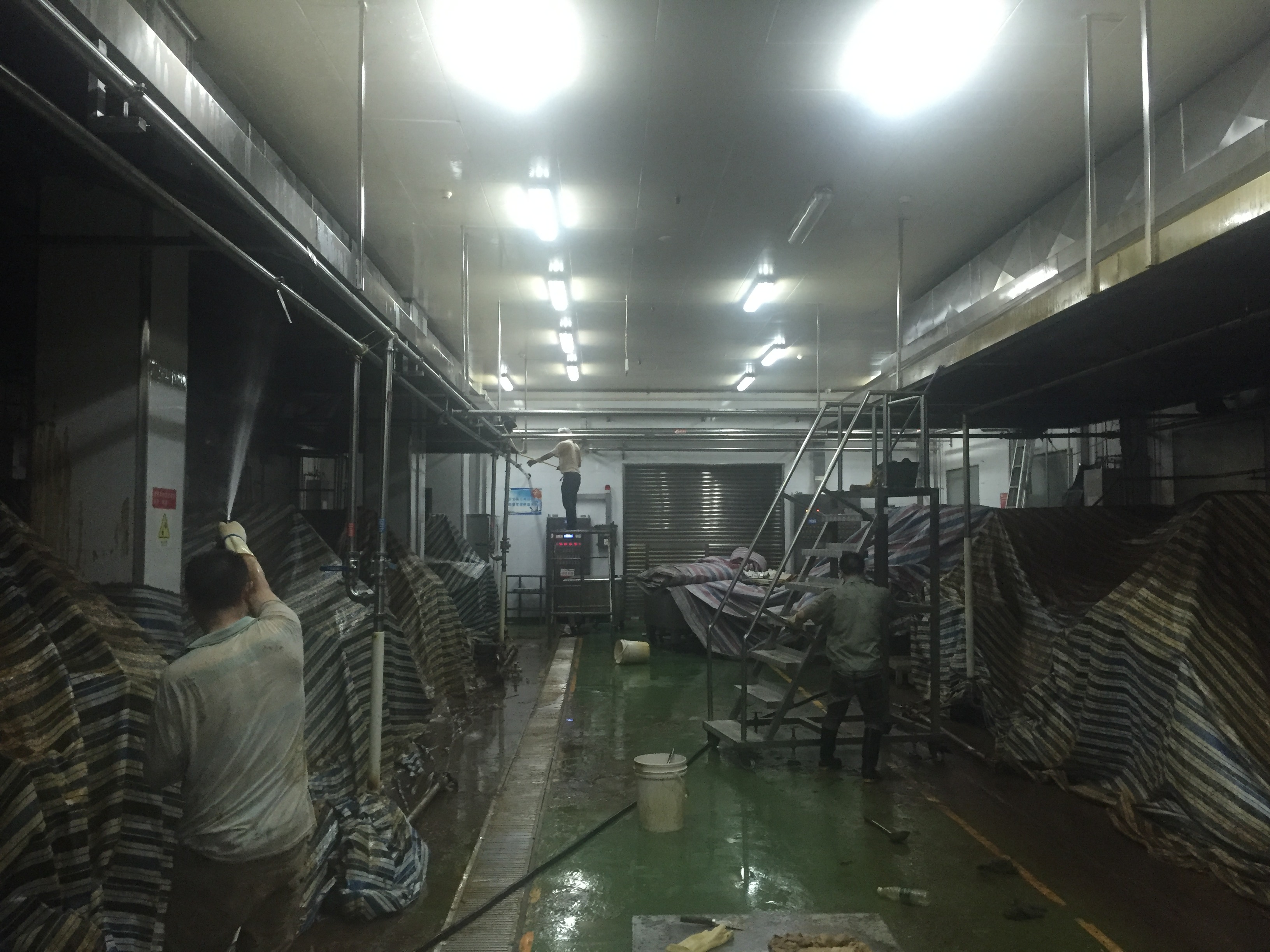 IMG_1867.JPG IMG_1867.JPG