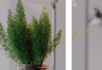 有德清潔專業清洗團隊